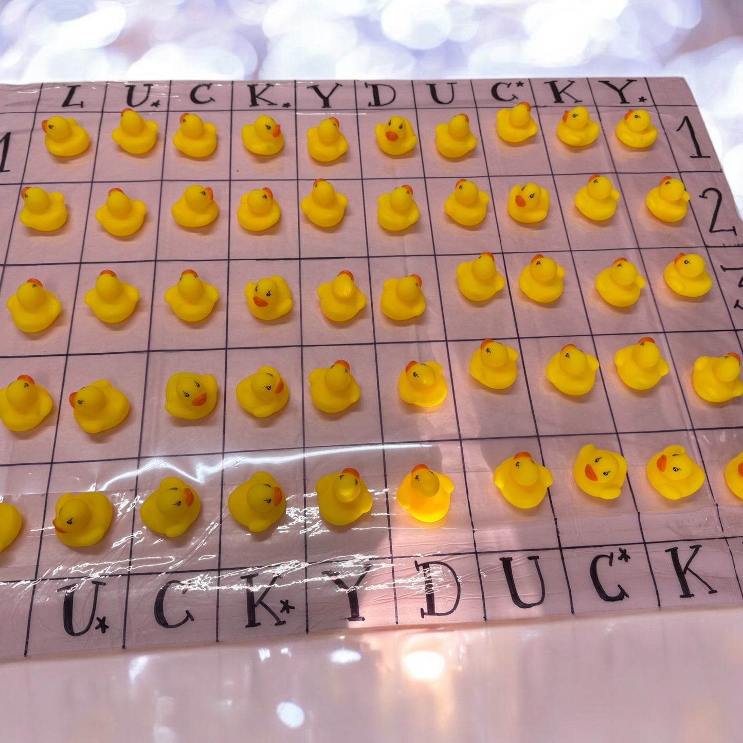 LUCKY DUCKY LIVE GAME