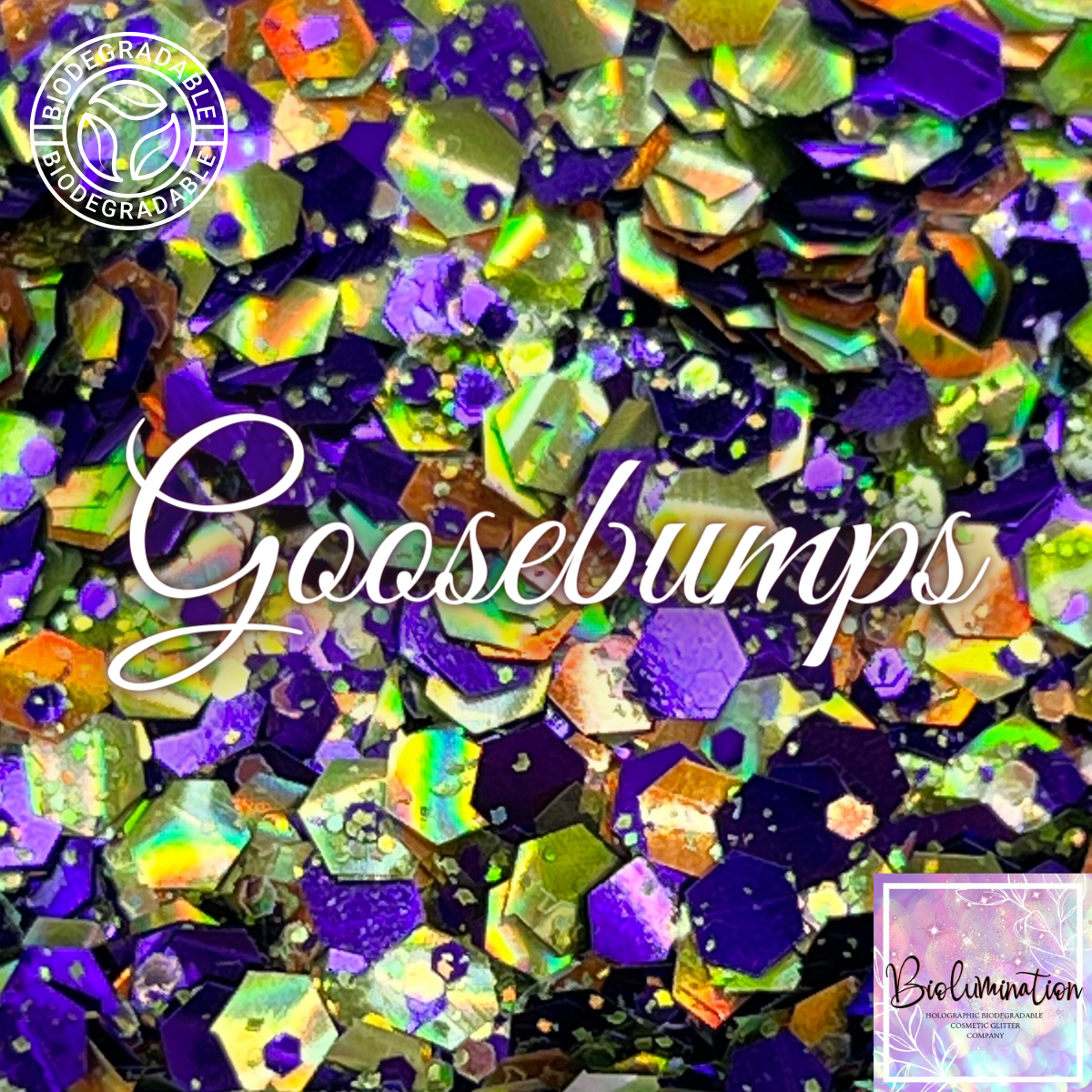 GOOSEBUMPS holographic biodegradable glitter